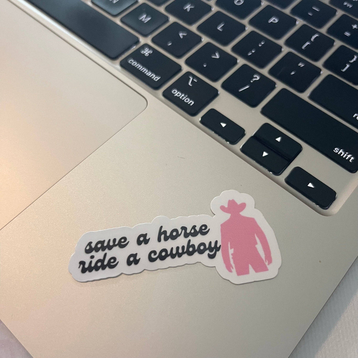 Save a horse, ride a cowboy romance man sticker