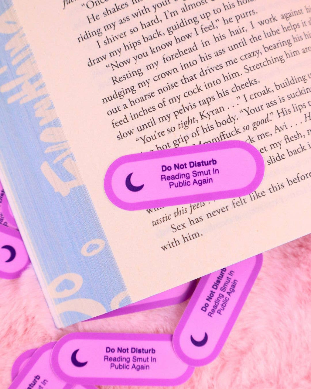 Do Not Disturb Reading Smut In Public Again Vinyl Sticker